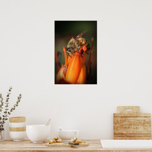 花粉採集蜂 ポスター (キッチン)