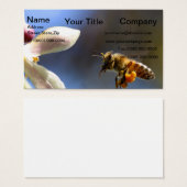 花粉症で覆われたのまわりに (正面&裏面)