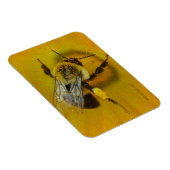 花粉被覆ミツバチ マグネット (右側)