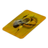 花粉被覆ミツバチ マグネット (左側)