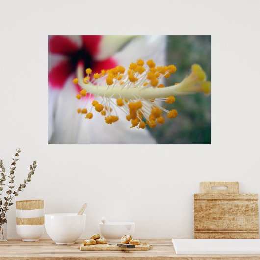 花粉 ポスター (キッチン)