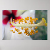 花粉 ポスター (正面)