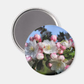 花素晴らし花写真磁石 マグネット (正面/裏面)
