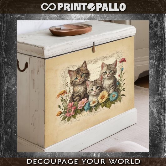 花組成のかわいい子猫 –  薄葉紙