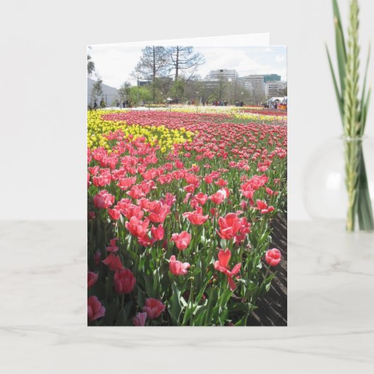 花考えるよ カード (正面)