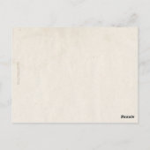 花自然静止生命フローラranunculus ポストカード (裏面)