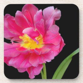 花花パーティーシャワーおめでとう恋 コースター