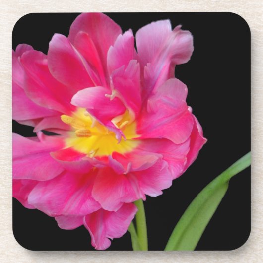 花花パーティーシャワーおめでとう恋 コースター (正面)