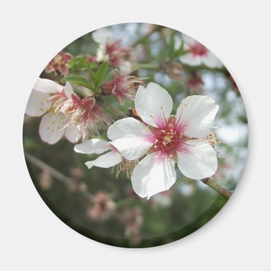 花花磁石 マグネット (正面)