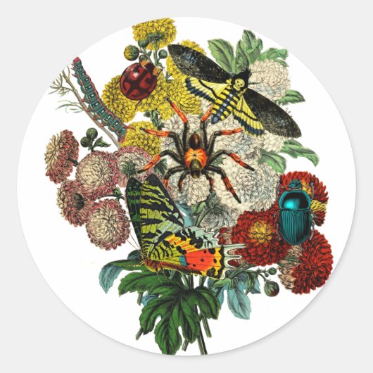 花花花花束虫の変化ヴィンテージ術 ラウンドシール (正面)