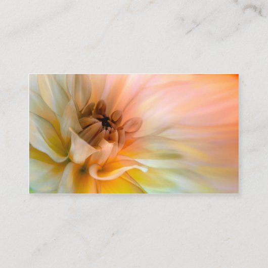 花芸術的名刺 名刺 (裏面)