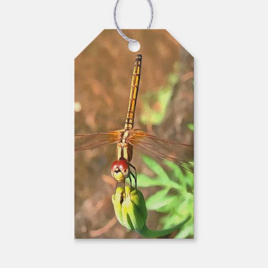 花芸術的頭に乗って休むトンボ ギフトタグ (正面)
