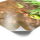 花芸術的頭に乗って休むトンボ フォトプリント            (角)