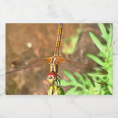 花芸術的頭に乗って休むトンボ フードラベル (シングルラベル)