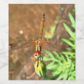 花芸術的頭に乗って休むトンボ ワインラベル (シングルラベル)