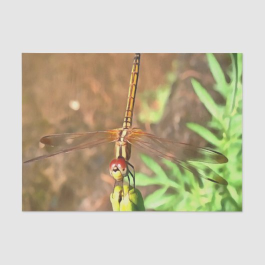 花芸術的頭に乗って休むトンボ 薄葉紙 (正面)