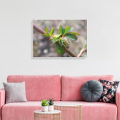 花芽を使用したキャンバス印刷。 キャンバスプリント (インサイチュ (リビング))