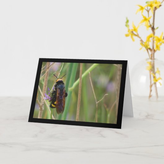 花茎の上のマンモスワスプ カード (黄色い花)