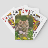 花草原のかわいいメインのあらいぐまの子ネコ猫。 トランプ (裏面)