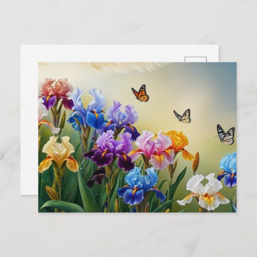 花菖蒲の花が咲く夏の庭 ポストカード (正面/裏面)