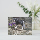 花葉書という子 ポストカード (スタンド正面)