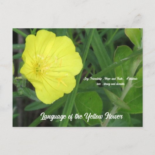 花葉書の意味 ポストカード (正面)