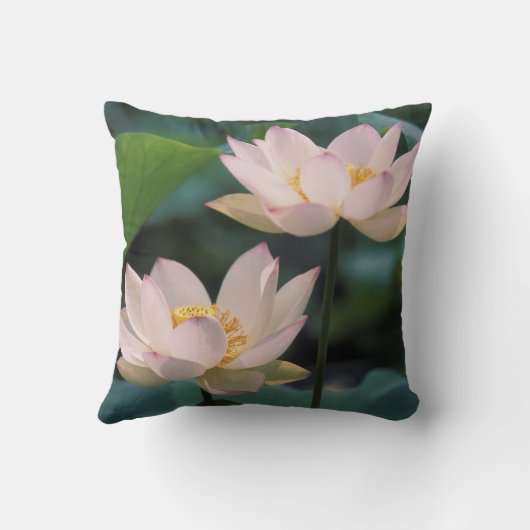 花蓮花中国 クッション (裏面)