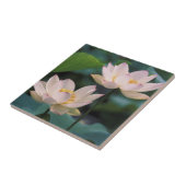 花蓮花中国 タイル (側面)