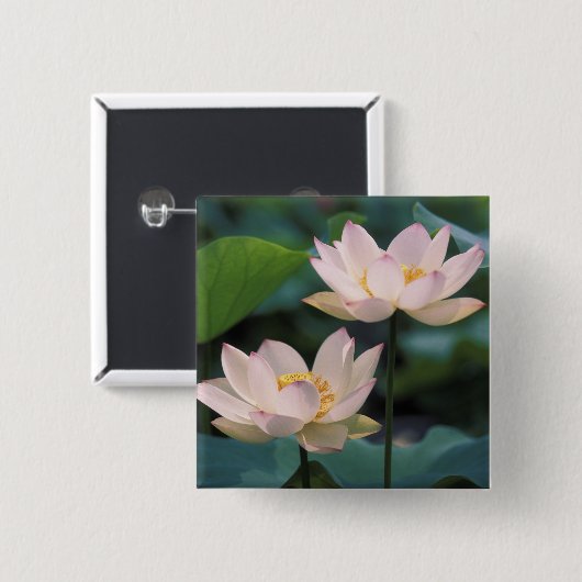 花蓮花中国 缶バッジ (正面&裏面)