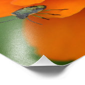 花虫の撮影プリント フォトプリント            (角)