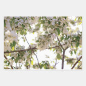 花蜜 ラッピングペーパーシート (正面3)