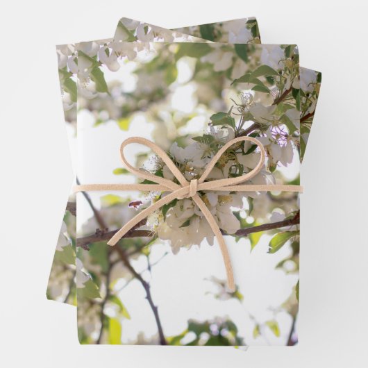 花蜜 ラッピングペーパーシート (インサイチュ)