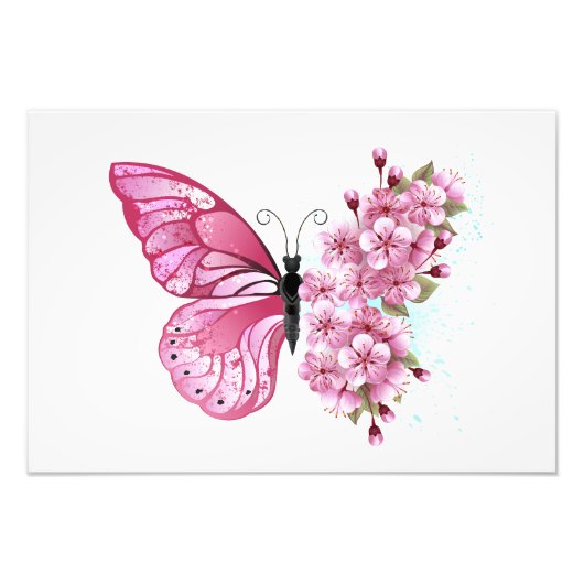花蝶とピンク桜 フォトプリント            (正面)