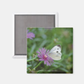 花蝶 マグネット (正面/裏面)