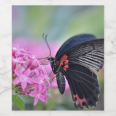 花蝶 ワインラベル (シングルラベル)