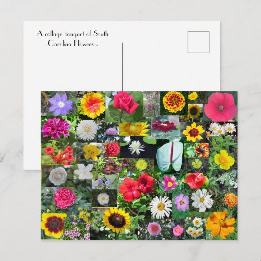 花襟はがき ポストカード (正面/裏面)