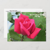 花言葉 ピンクのバラ ポストカード (正面/裏面)