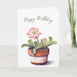 花誕生日付多汁植物 カード