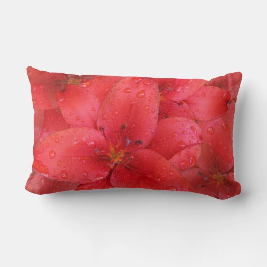 花赤いユリの庭の写真の雨滴 ランバークッション (裏面)
