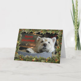 花輪の写真の挨拶状とのクリスマスWestie シーズンカード