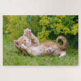 花遊園の可愛い子猫_ ジグソーパズル