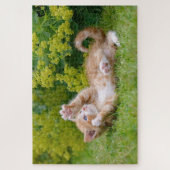 花遊園の可愛い子猫_ ジグソーパズル (縦)