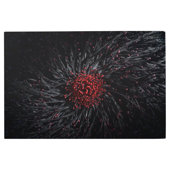 花開き メタルプリント (正面)