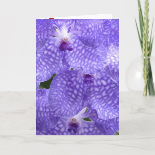 花開く 運命の花 オーキッド 平和 愛宿る サンキューカード (正面)
