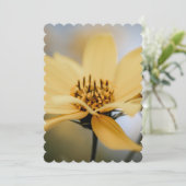 花開花 シーズンカード (スタンド正面)