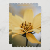 花開花 シーズンカード (正面/裏面)