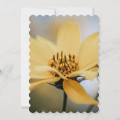 花開花 シーズンカード (正面)