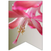 花開花 バンティングフラッグ (第2の旗)