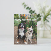 花雪の年賀状2019 ポストカード (スタンド正面)