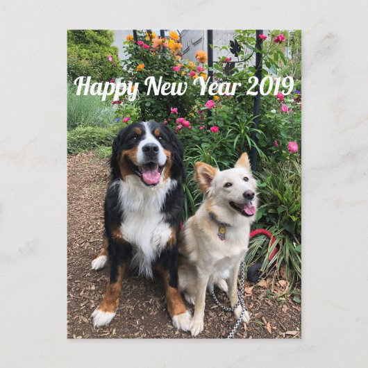 花雪の年賀状2019 ポストカード (正面)